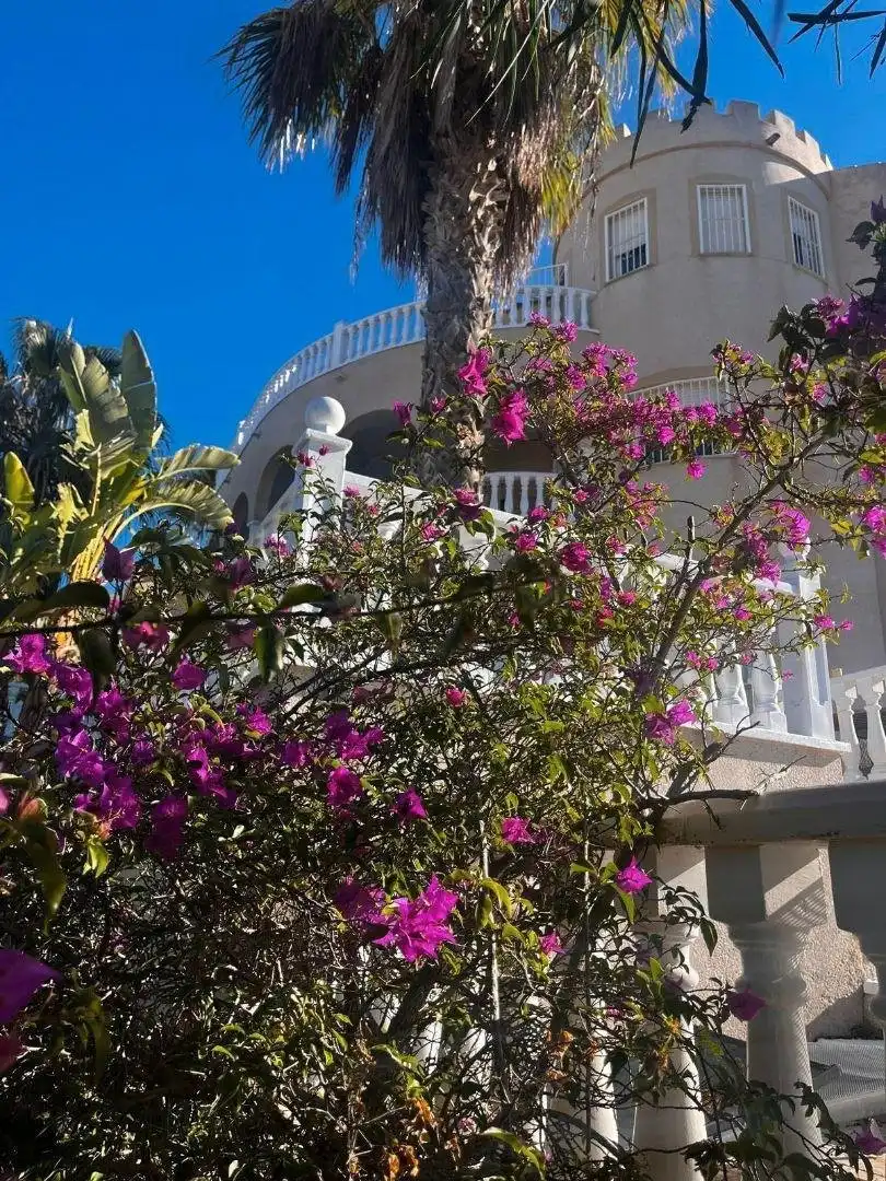 Vista exterior de Casa o chalet en venta en Rojales con Calefacción, Jardín privado y Piscina