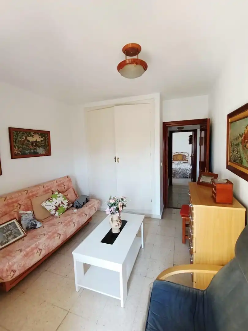 Sala d'estar de Pis en venda en Málaga amb Aire condicionat i Terrassa