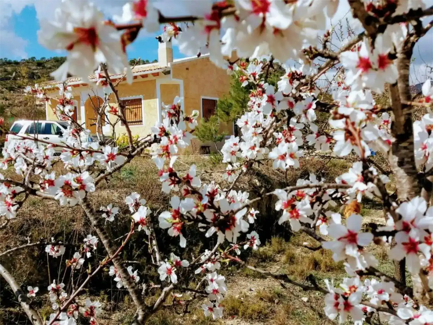 Jardí de Pis en venda en Relleu amb Jardí privat i Moblat