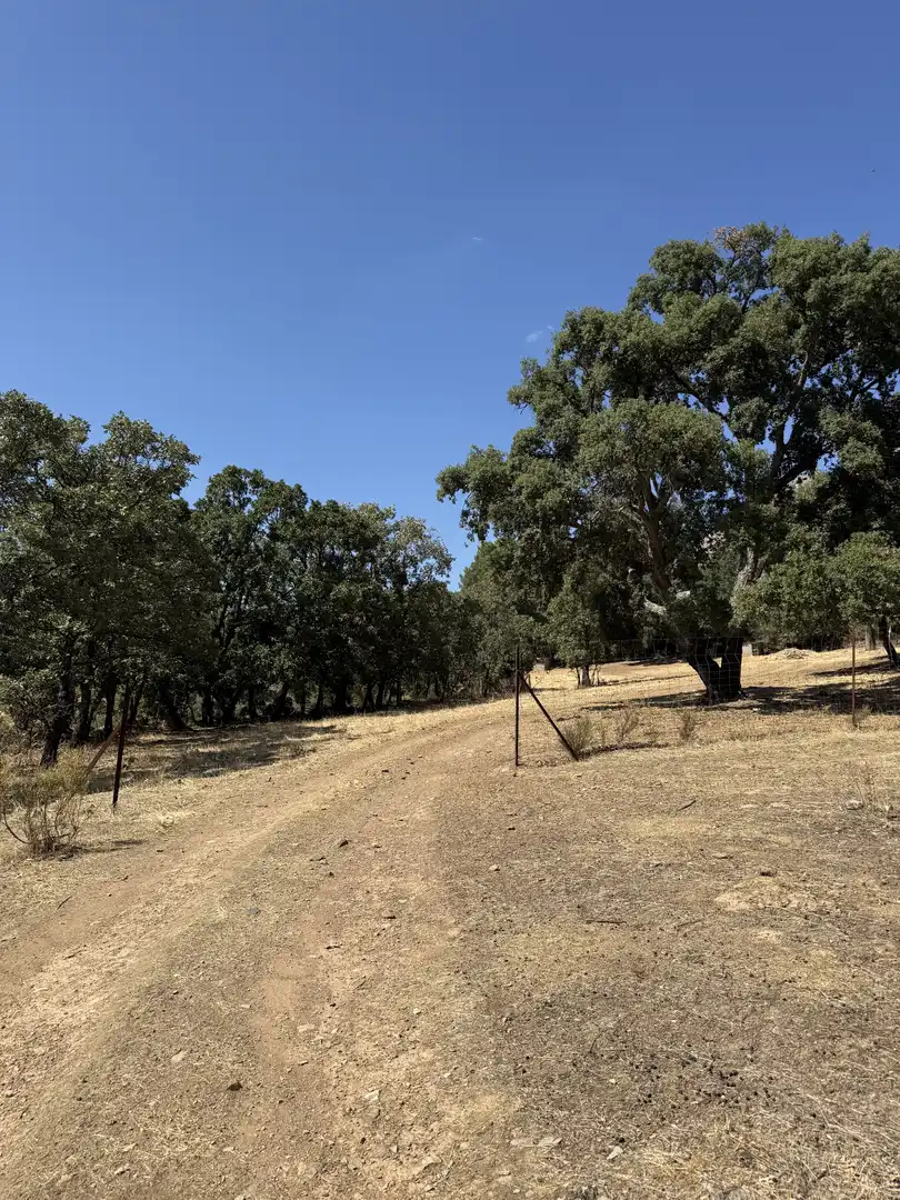 Terreno en venta en Berzocana
