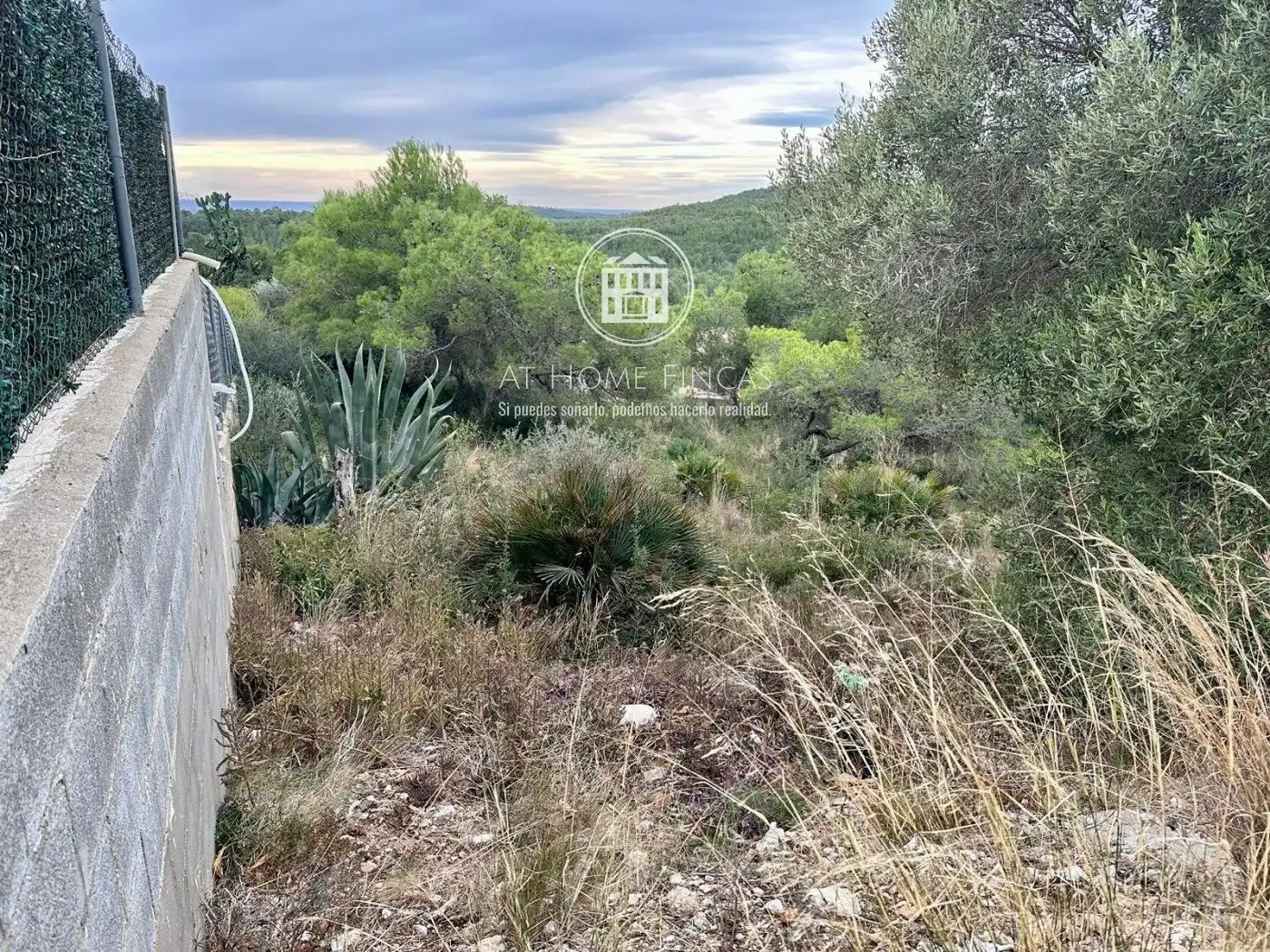 Terreny rústic en venda a Iuca, imagen 4