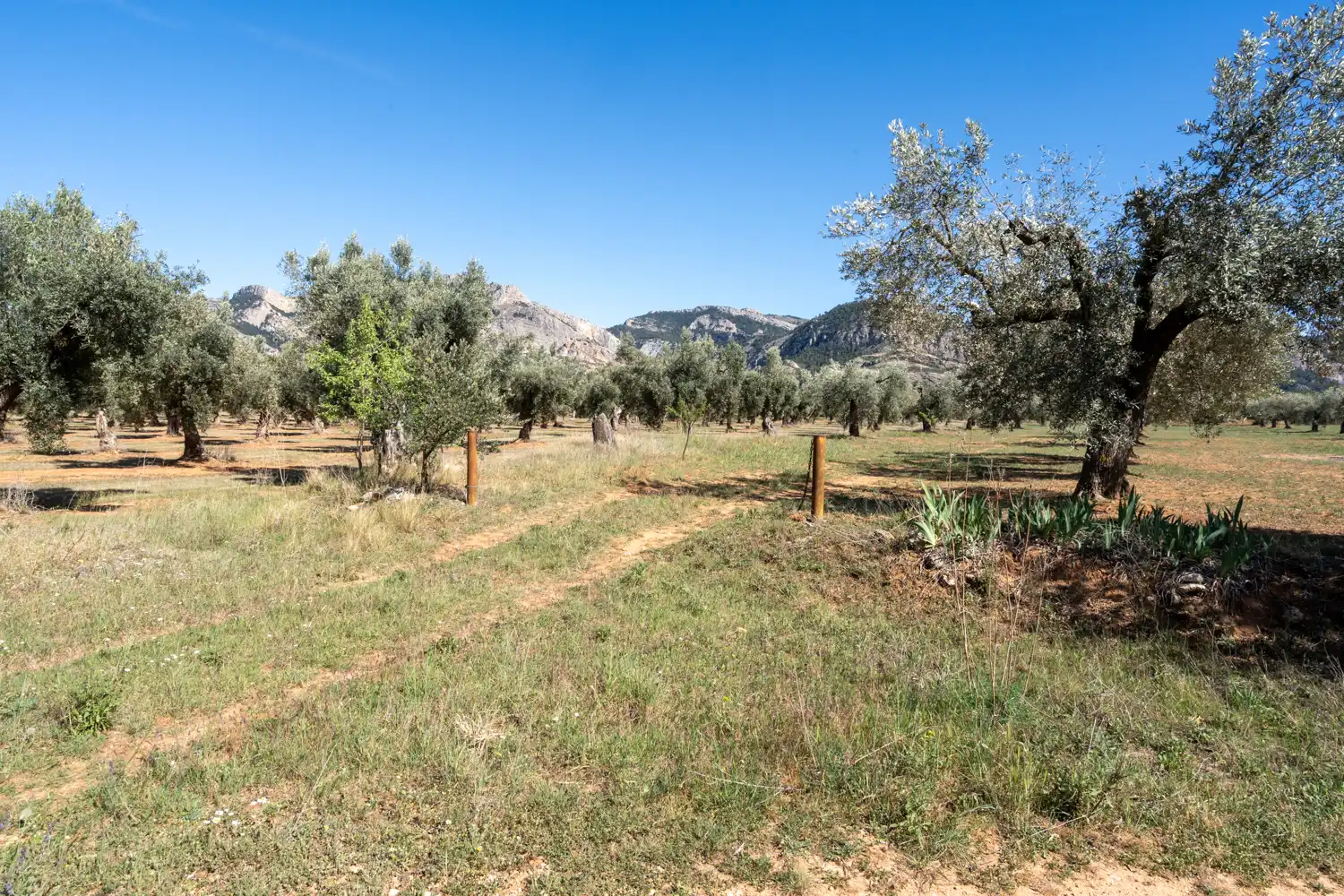 Rural land for sale in Raval dels Àngels 18, imagen 27