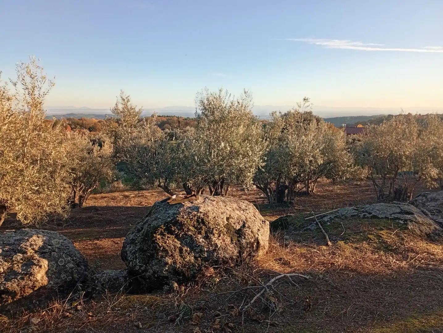 Terreni e lotti in vendita a Villanueva de la Vera, imagen 65