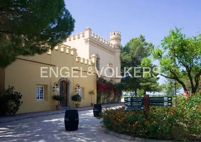 Haus mit Garten zum Verkauf in El Rocío - La Milagrosa, imagen 12