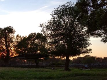 Rural land for sale in Calle Altozano 42
