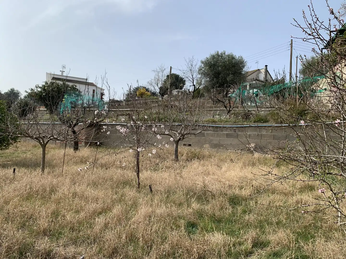 Terrenos y solares en venta en Calle SANTA LAURA, imagen 28