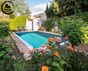 Swimming pool of House or chalet for sale in  Granada Capital  with Air Conditioner, Terrace and Swimming Pool