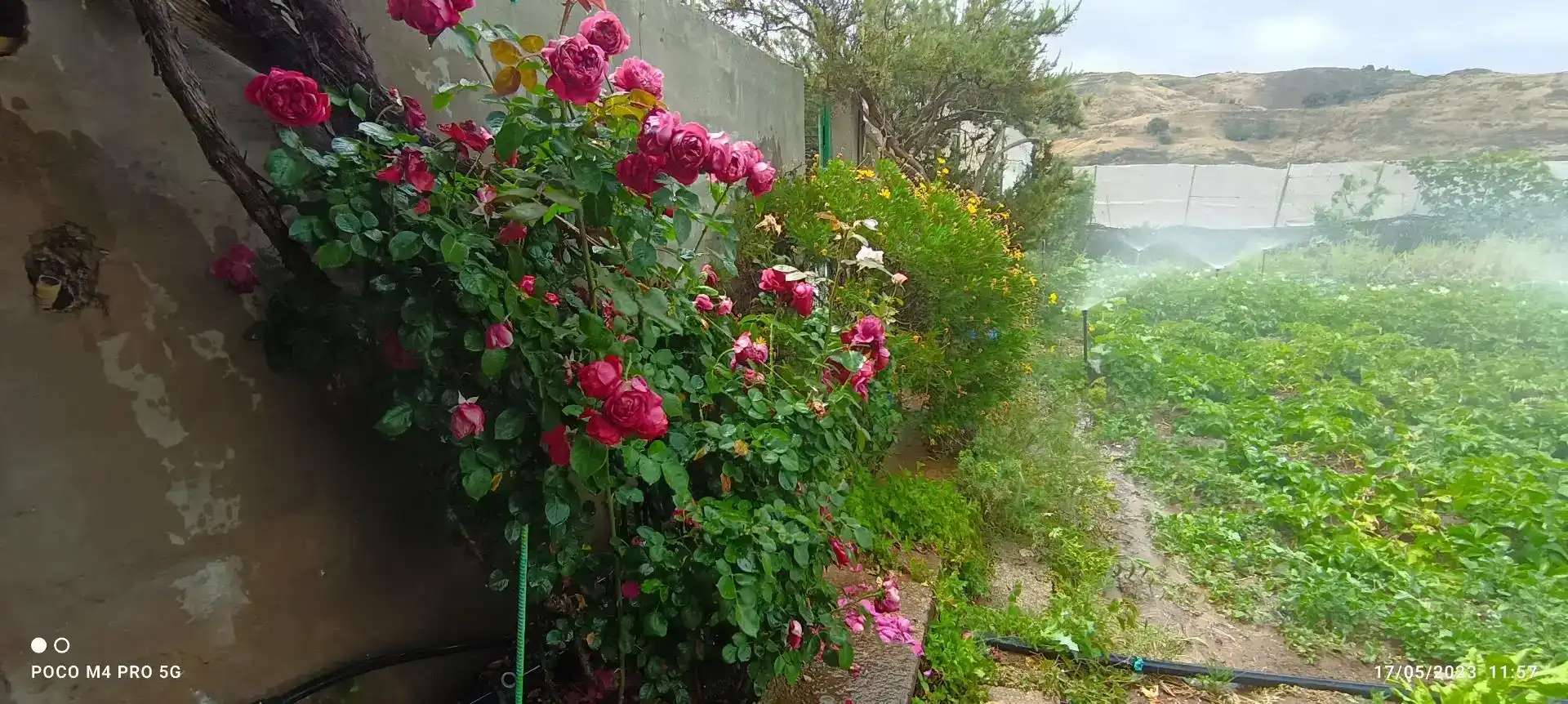 Garden of Houses for sale in Gáldar  with Balcony