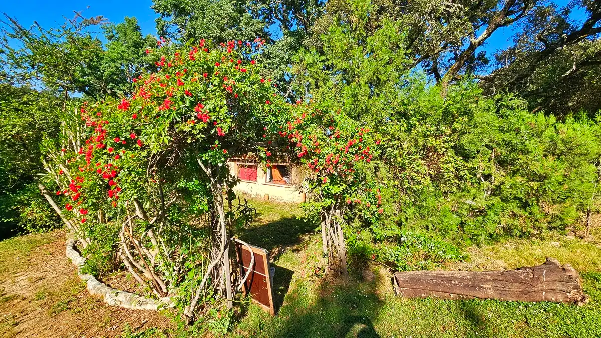 Jardín de Finca rústica en venta en Los Marines con Jardín privado, Terraza y Trastero