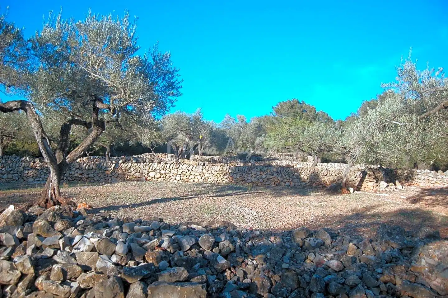 Terreno rustico in vendita a Burgà, imagen 20