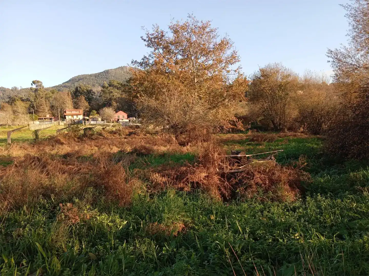 Finca rústica en venda en Nigrán