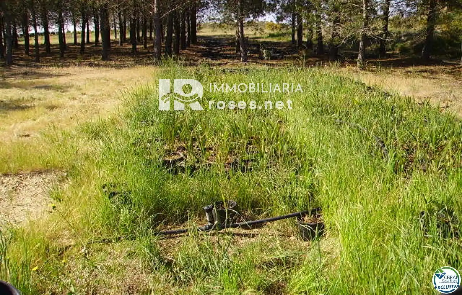 Rural land for sale in Butaros, imagen 5