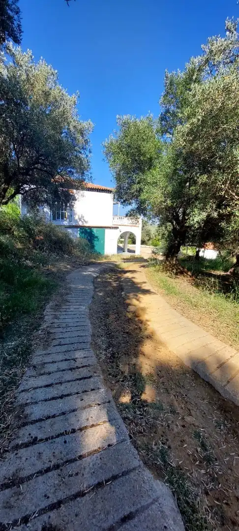 Vista exterior de Casa o chalet para compartir en Marbella con Aire acondicionado, Terraza y Amueblado