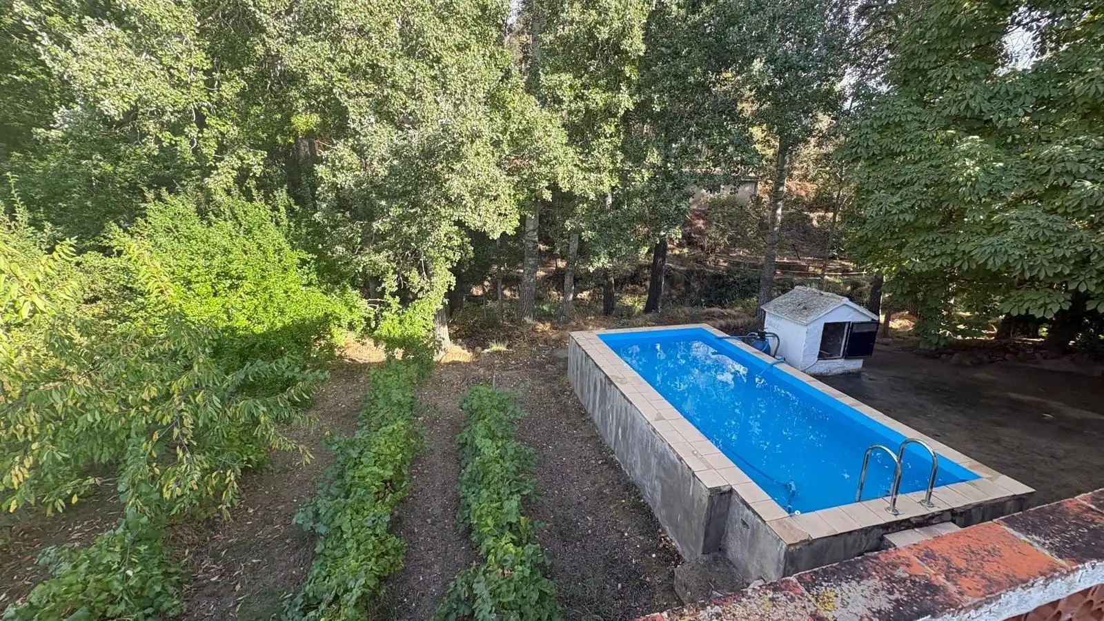 Villa avec piscine à vendre à Almansa, imagen 18
