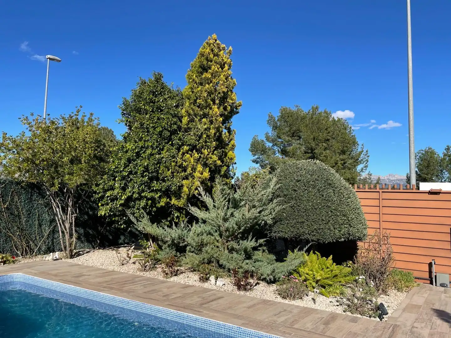 Chalet con piscina en venta en La Alberca, imagen 8