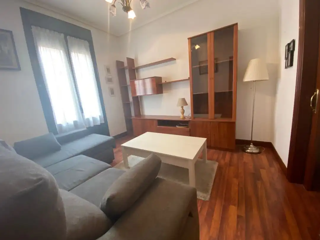 Sala d'estar de Pis de lloguer en Bilbao  amb Calefacció i Balcó