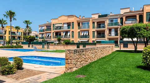 Photo 3 of Apartments for rent in Sa Torre, Llucmajor