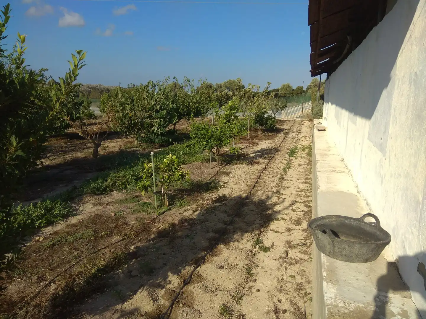 Terrenys i solars en venda a Los Franceses – La Vega, imagen 51