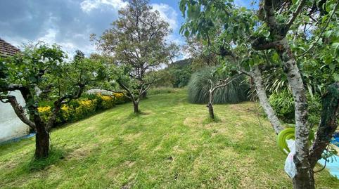 Foto 3 de Finca rústica en venda a Mungia, Bizkaia