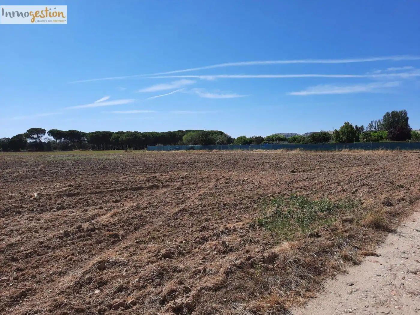 Terreno residenziale in vendita a Tudela de Duero, imagen 5