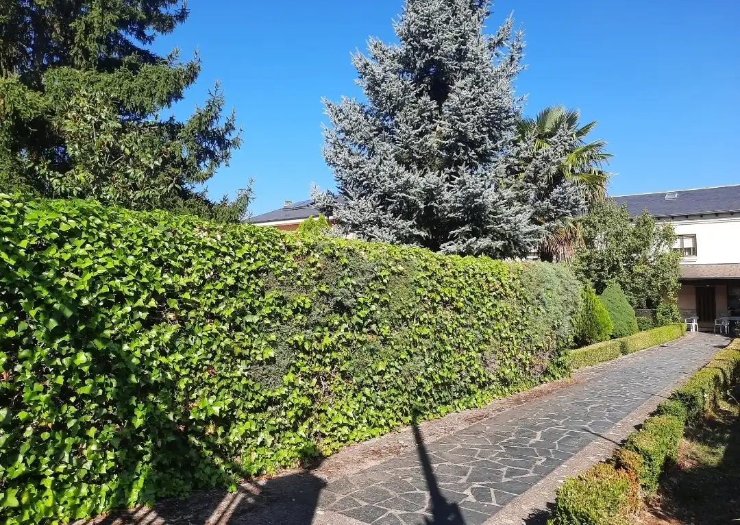 Jardín de Casa o chalet en venta en Congosto con Calefacción, Jardín privado y Trastero