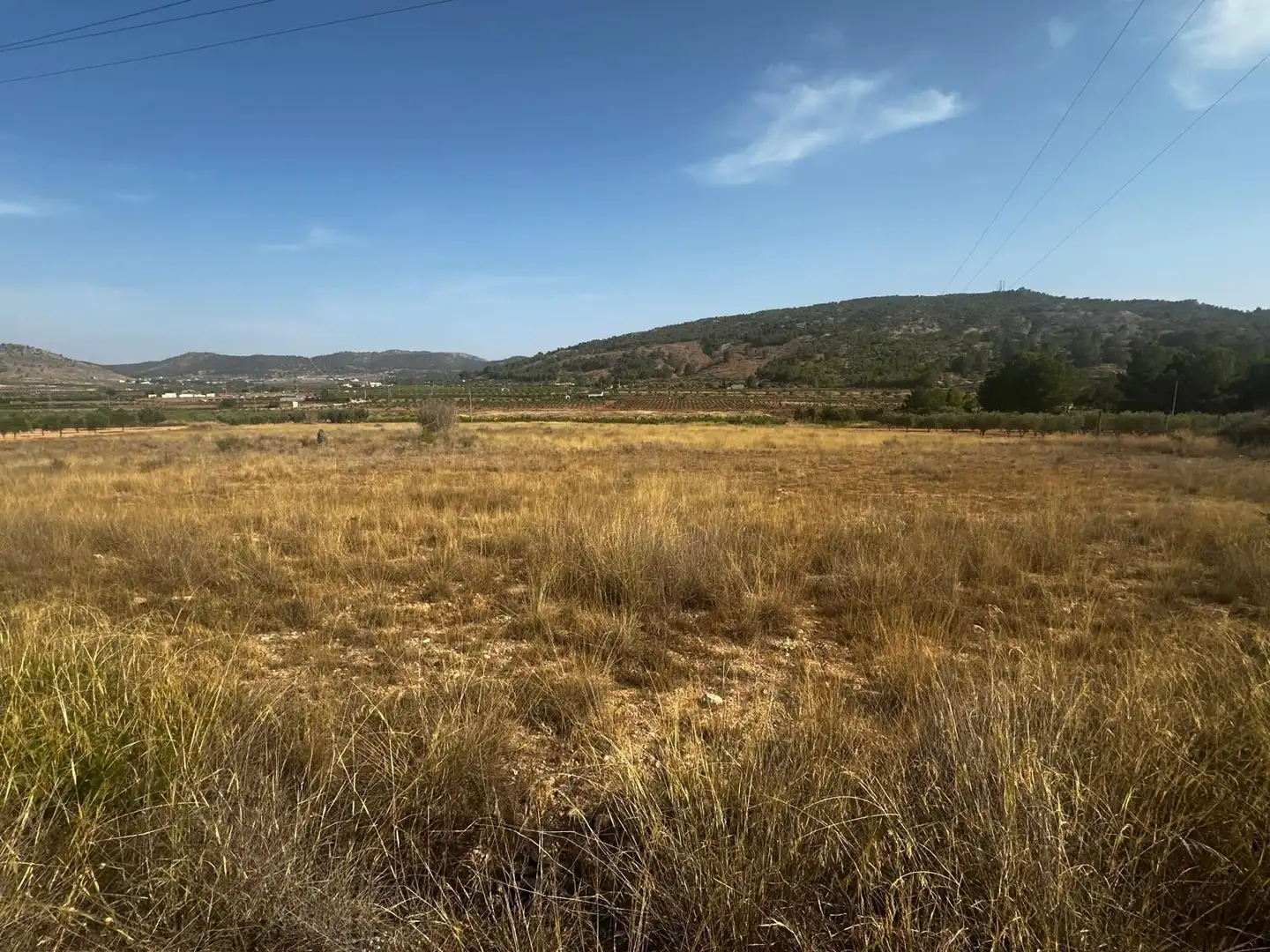 Terreny residencial en venda a El Pinós / Pinoso, imagen 3