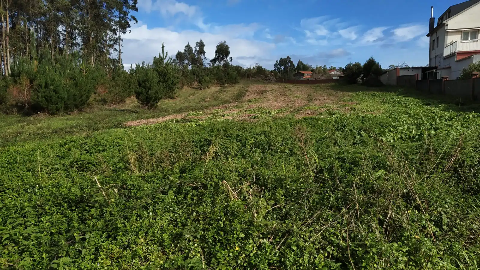 Terreny residencial en venda a Malpica de Bergantiños