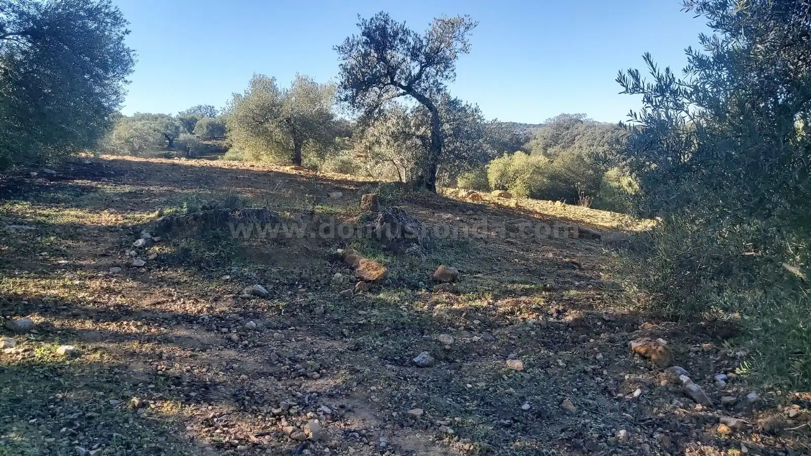 Terreni e lotti in vendita a Partidas Norte, imagen 16