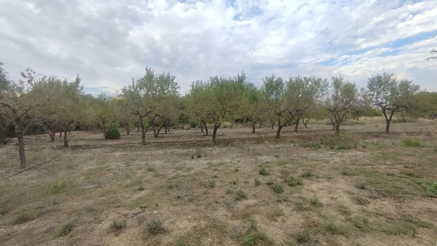 Finca rústica en venda en Valls amb Calefacció, Jardí privat i Terrassa
