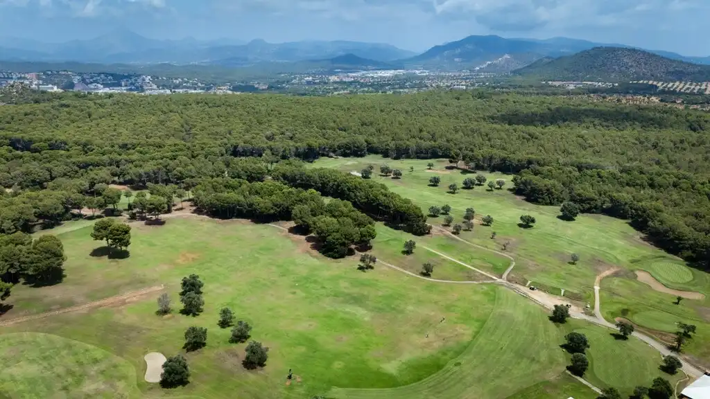 Chalet con piscina en venta en Santa Ponça, imagen 18