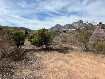 Rustikales Grundstück zum Verkauf in El Tossal - Bello Horizonte