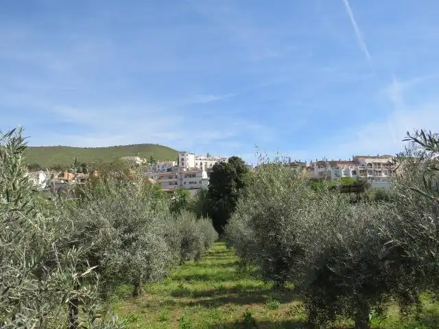 Vista exterior de Terreno en venta en Cenes de la Vega