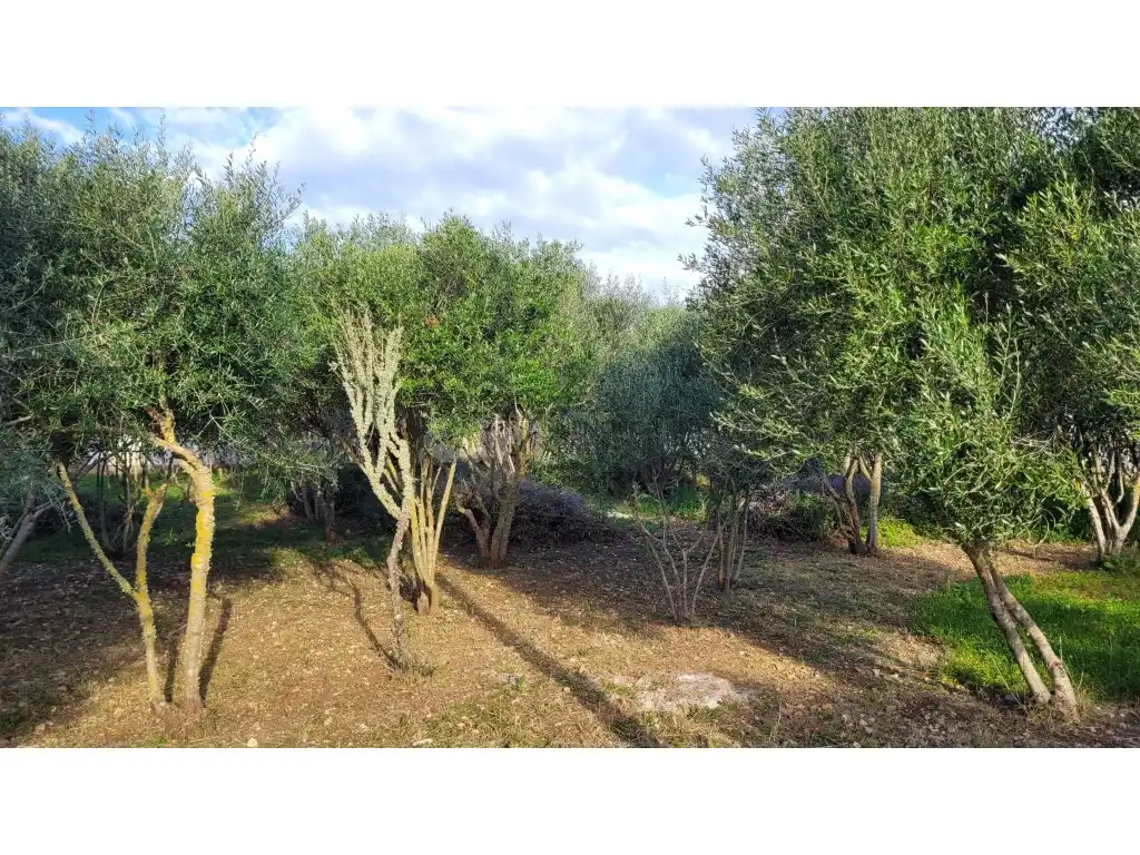 Casa rústica en venda a Camí de Torret 2, imagen 13