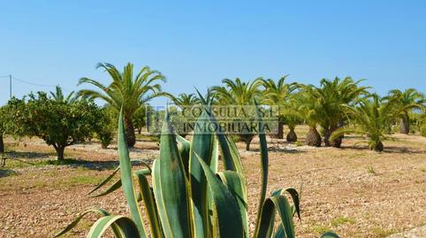 Photo 3 of Country house for sale in Camí D'alcanar, Boverals - Saldonar, Castellón