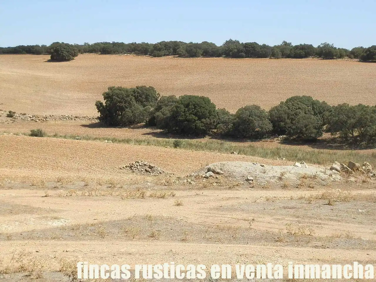 Terreni e lotti in vendita a Munera, imagen 9
