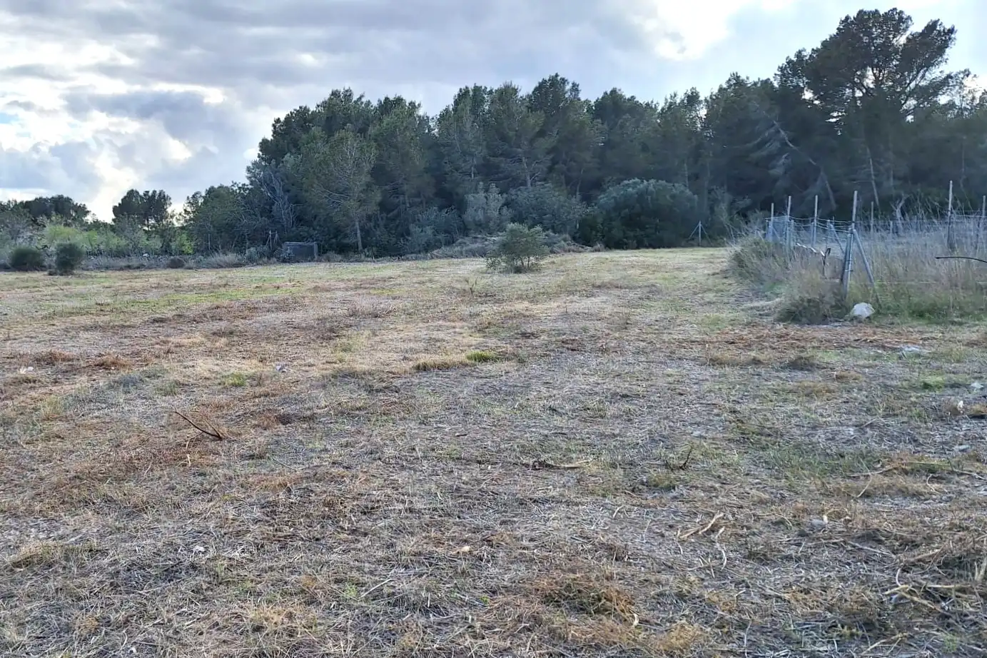 Terrain rustique à vendre à Carrer Andreu Llambrich 48, imagen 19