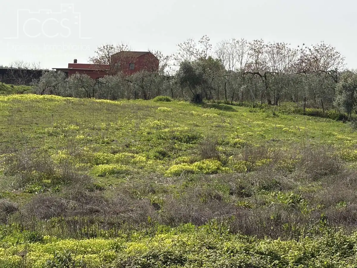 Country homes for sale in Pilas  with Swimming Pool