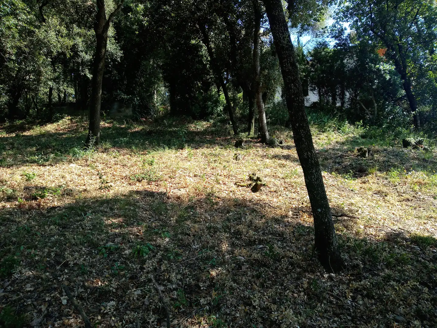 Terreno residencial en venta en Carrer de la Morera, imagen 4