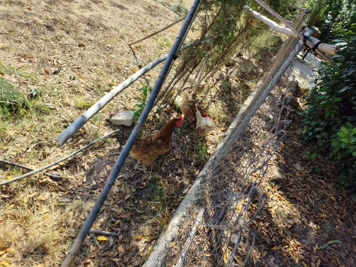 Casa o xalet en venda en Torrent amb Aire condicionat, Jardí privat i Traster
