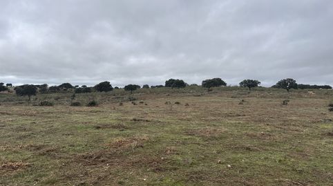 Foto 4 de Finca rústica en venda a Lugar la Mula, Valencia de Alcántara, Cáceres