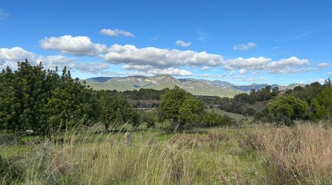 Photo 4 of Land for sale in Carretera Marratxí, Marratxinet, Marratxí