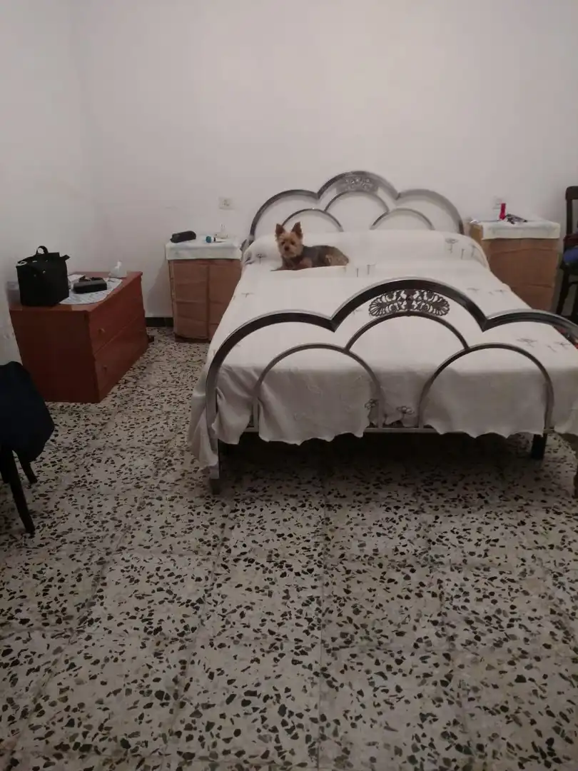 Bedroom of Country homes for sale in Montemolín