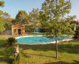 Swimming pool of House or chalet for sale in Linares  with Air Conditioner, Private garden and Terrace