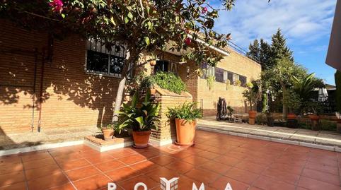 Photo 2 of House or chalet for sale in Torrequinto, Sevilla