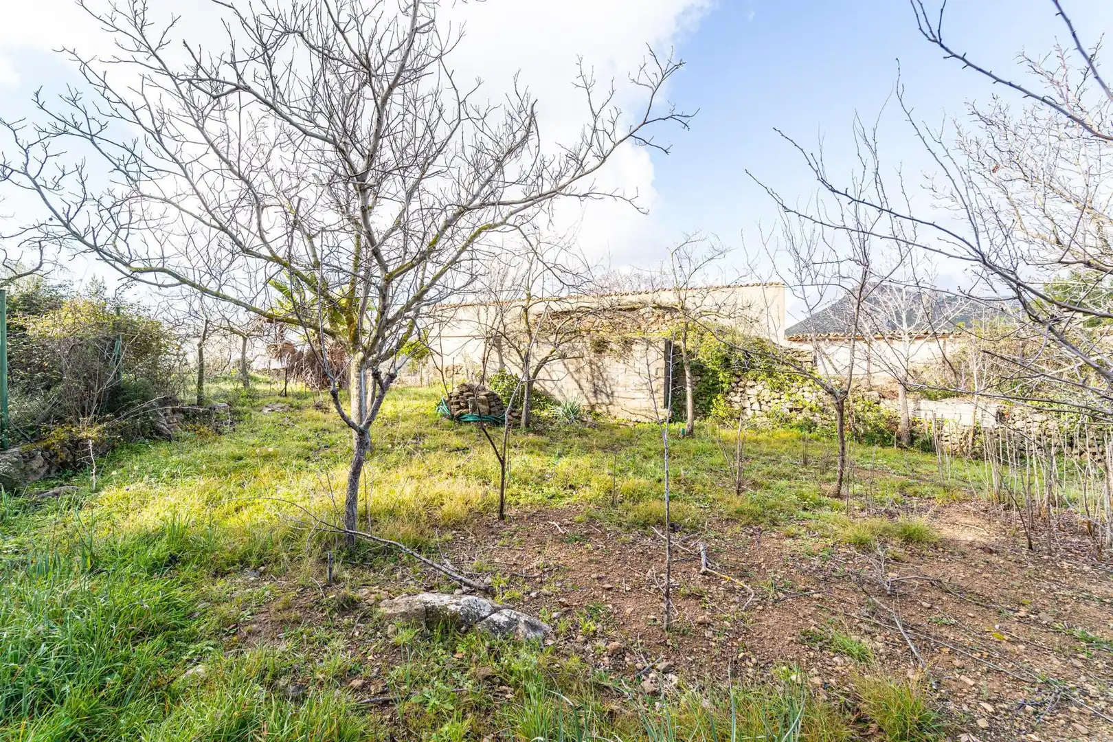 Casa con jardín en venta en Andratx pueblo, imagen 17