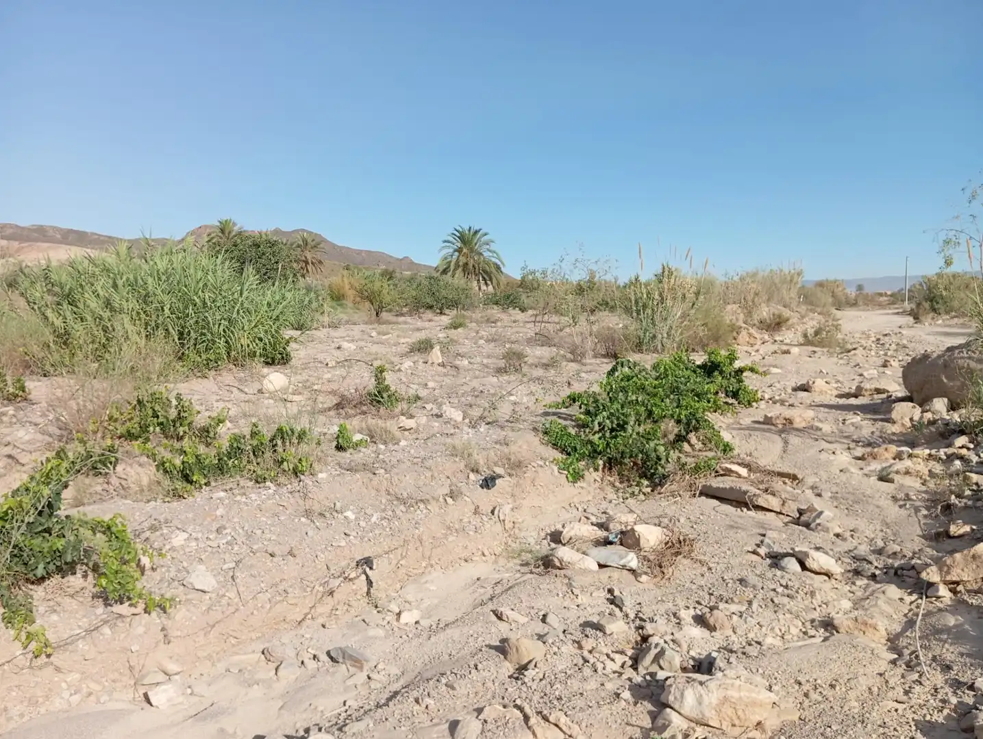 Casa rústica en venda a Cuevas del Almanzora pueblo, imagen 34