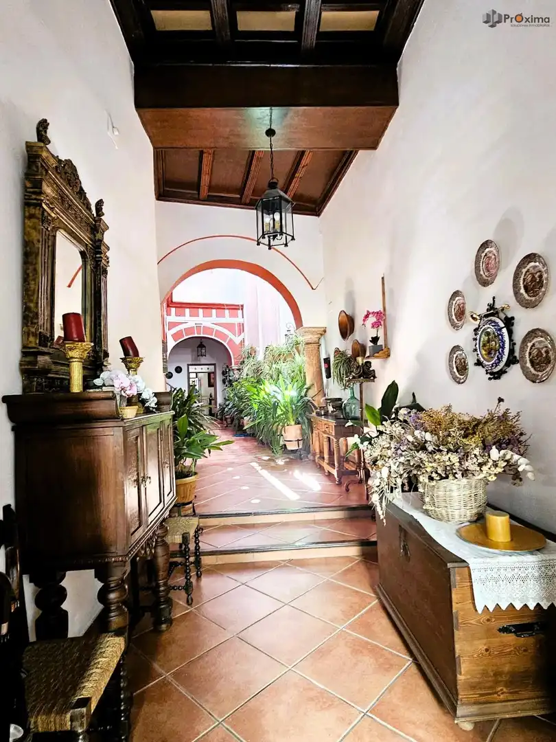 Casa o xalet en venda en Écija amb Aire condicionat