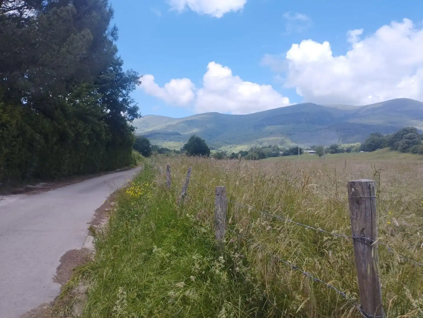 Terreni e lotti in vendita a BURCEÑA, imagen 13