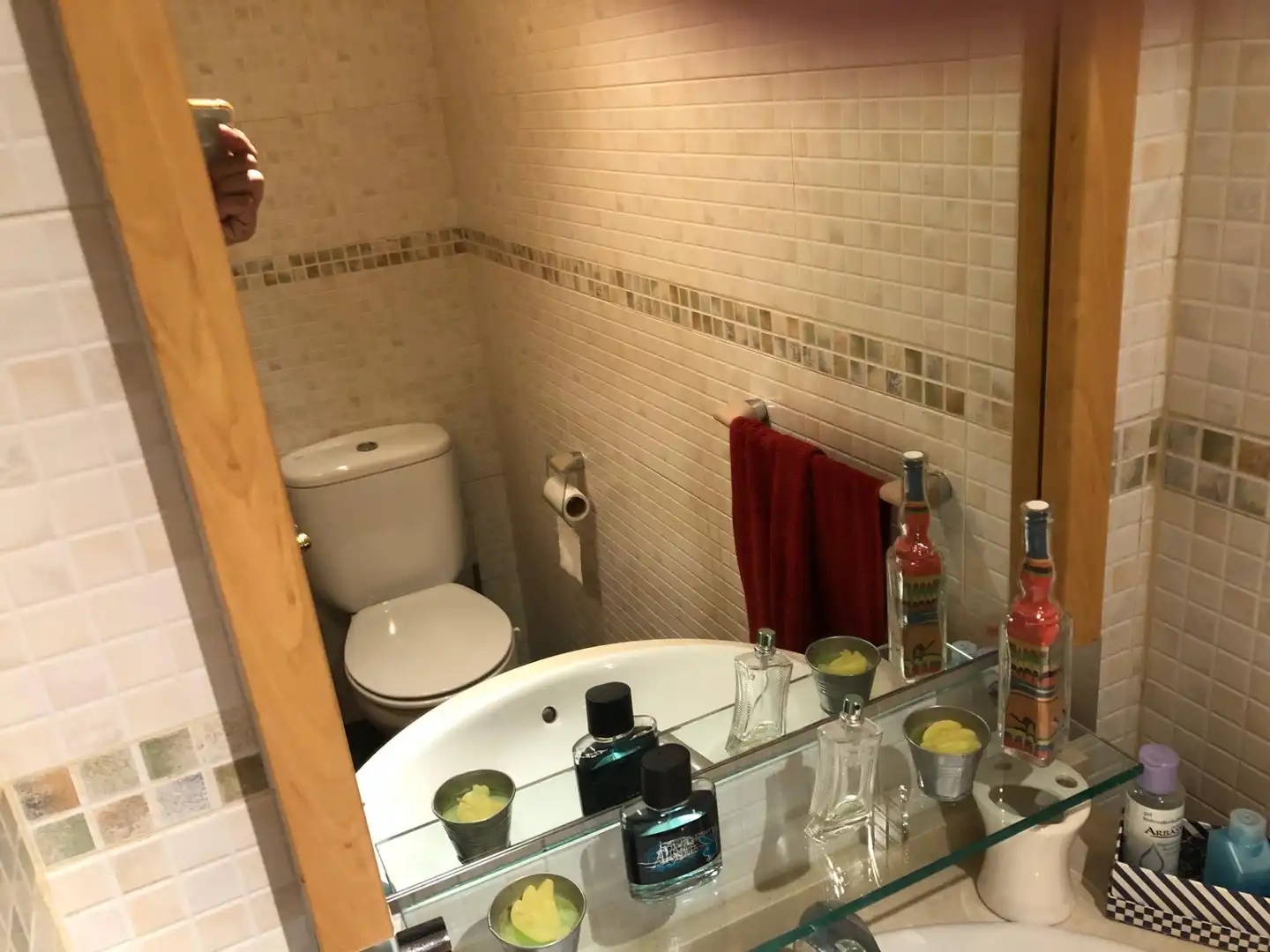Baño de Casa o chalet en venta en Abrera con Calefacción, Jardín privado y Terraza