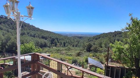 Foto 3 de Finca rústica en venta en Avinguda de Montclar, 170, Riudecanyes, Tarragona